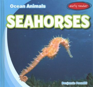 Seahorses on Sale