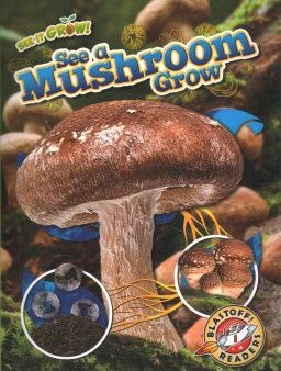 See a Mushroom Grow For Cheap