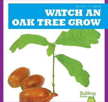 Watch an Oak Tree Grow Hot on Sale