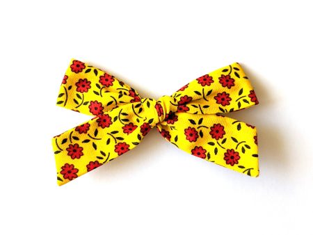 Summer Daisies :: Explorer Bow Cheap