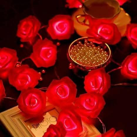 Red Rose Flower LED string light (14 Rose) Cheap