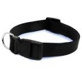 Squif Adjustable Nylon Dog Neck Collar with Safety Buckle, Metal D-Ring to Attach Leash| Dog Neck Belt (Black) | Size- M Online Hot Sale